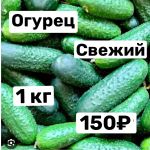Огурец хрустящий 1 кг
