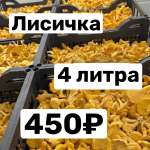 Лисичка 4 литра