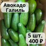 Авокадо Галиль  5 шт