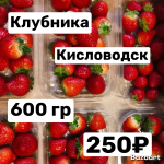 Клубника тепличная  Кисловодск  0,6 кг