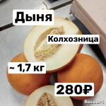 Дыня Колхозница ~ 1,6 -1,8  кг