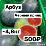 Арбуз Черный Принц ~  4,8  кг