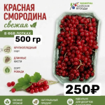 Красная смородина Шуйская ягода 0,5 кг