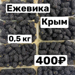Ежевика  Крым 0,5 кг